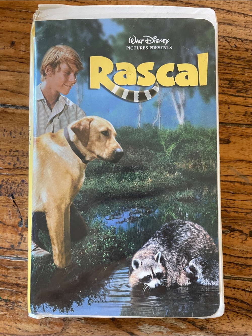 Walt Disney Rascal VHS Family Movie Comedy